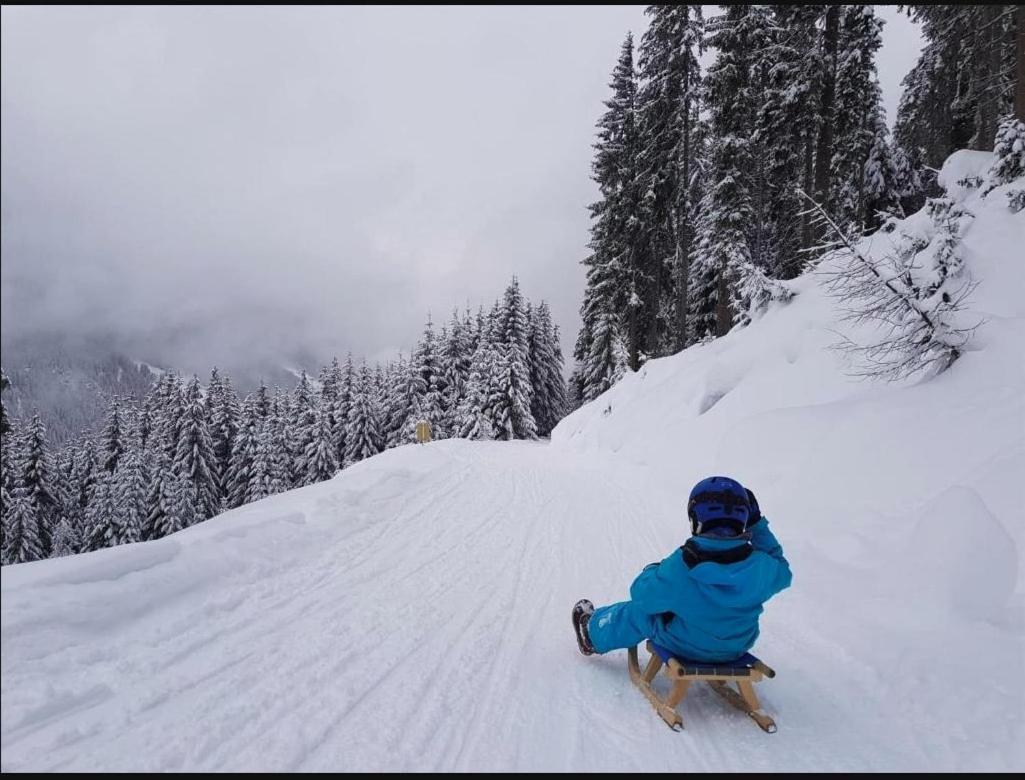Lieblingsplatz - Ski In Und Ski Out See Exteriér fotografie